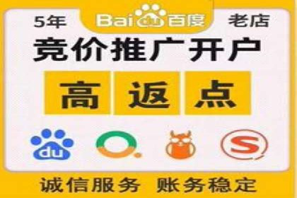 SEM托管服务成功案例：见证品牌成长
